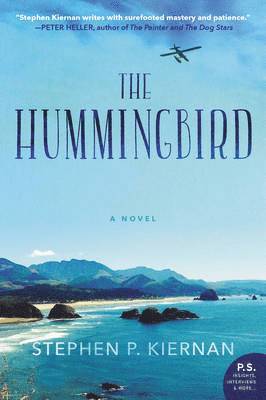 The Hummingbird 1