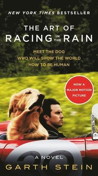 bokomslag Art Of Racing In The Rain Movie Tie-In Edition