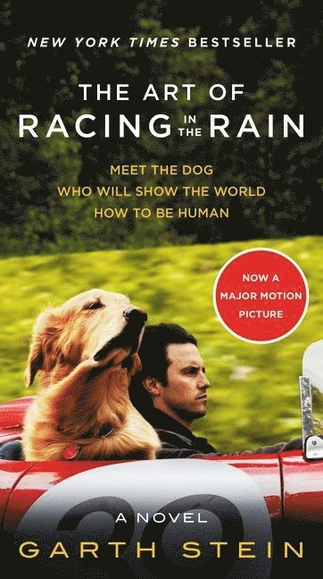 The Art of Racing in the Rain Movie Tie-In Edition