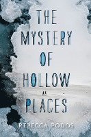 bokomslag Mystery Of Hollow Places