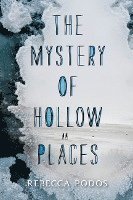 bokomslag The Mystery of Hollow Places