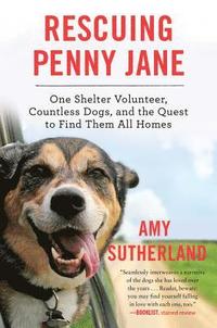 bokomslag Rescuing Penny Jane: One Shelter Volunteer, Countless Dogs, and the Quest to Find Them All Homes