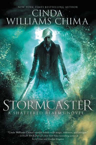 Cinda Williams Chima - Stormcaster, Häftad