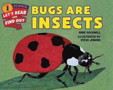 bokomslag Bugs Are Insects