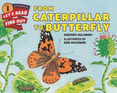 bokomslag From Caterpillar To Butterfly