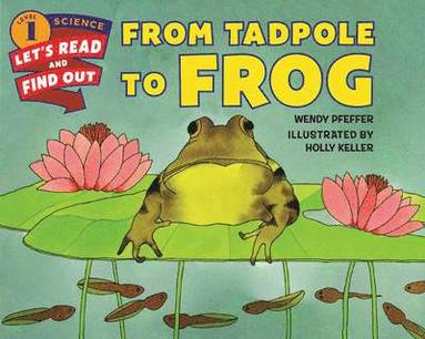 bokomslag From Tadpole to Frog