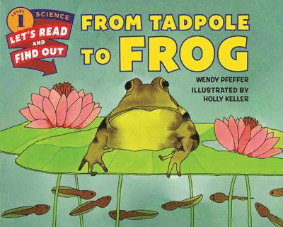 From Tadpole to Frog 1