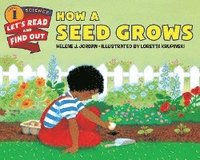 bokomslag How a Seed Grows