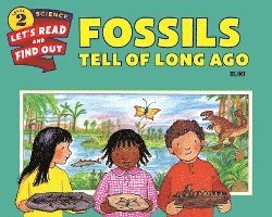 Fossils Tell Of Long Ago 1