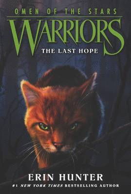 Warriors: Omen of the Stars #6: The Last Hope 1