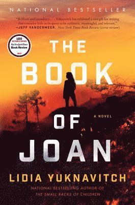 bokomslag The Book of Joan