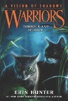 bokomslag Warriors: A Vision of Shadows #2: Thunder and Shadow