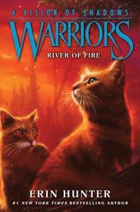 bokomslag Warriors: A Vision of Shadows #5: River of Fire