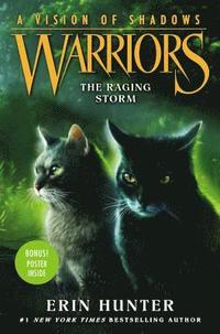 bokomslag Warriors: A Vision of Shadows #6: The Raging Storm