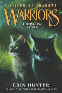 bokomslag Warriors: A Vision of Shadows #6: The Raging Storm
