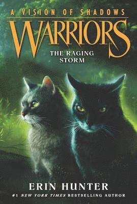 Warriors: A Vision of Shadows #6: The Raging Storm 1