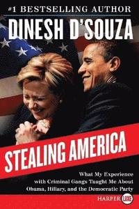 bokomslag Stealing America LP