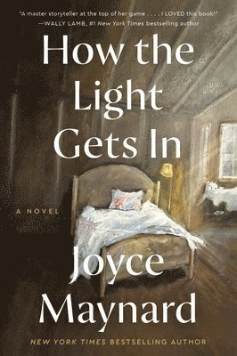 How the Light Gets In