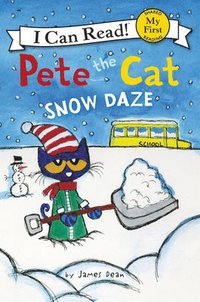 bokomslag Pete The Cat