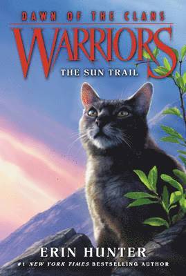 bokomslag Warriors: Dawn of the Clans #1: The Sun Trail