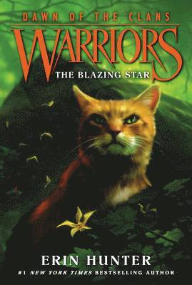 Warriors: Dawn of the Clans #4: The Blazing Star