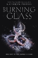 bokomslag Burning Glass