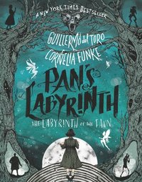 bokomslag The Labyrinth of the Faun