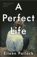 bokomslag A Perfect Life