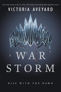 bokomslag War Storm