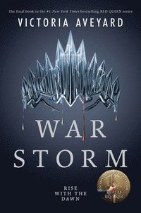 bokomslag War Storm