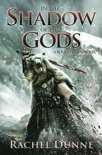 bokomslag IN SHADOW GODS              PB