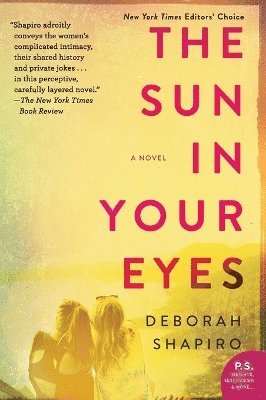 Deborah Shapiro - The Sun in Your Eyes, Häftad