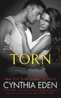 Torn: Lost Series #4