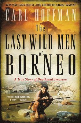 bokomslag Last Wild Men Of Borneo