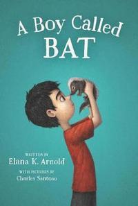 bokomslag A Boy Called Bat