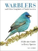 bokomslag Warblers and Other Songbirds of North America
