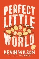 bokomslag Perfect Little World