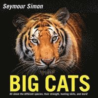 Big Cats