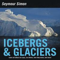 bokomslag Icebergs & Glaciers