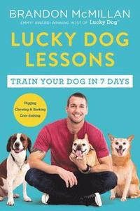 bokomslag Lucky Dog Lessons