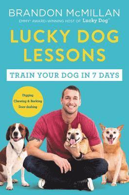 Lucky Dog Lessons 1