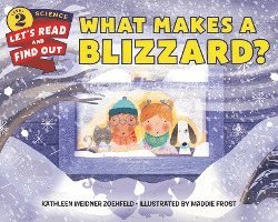 What Makes a Blizzard? 1