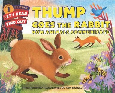 bokomslag Thump Goes the Rabbit
