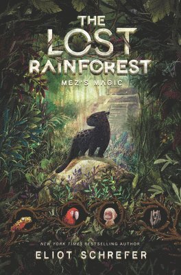 bokomslag Lost Rainforest: Mez's Magic