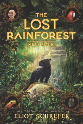 The Lost Rainforest #1: Mez's Magic 1