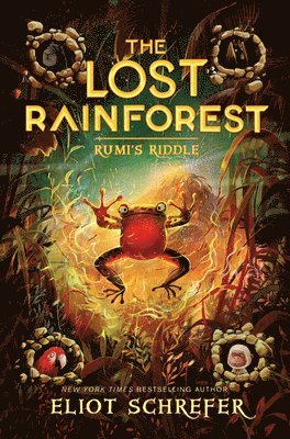 Lost Rainforest #3: Rumi’s Riddle
