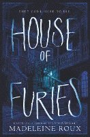 bokomslag House of Furies