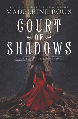 bokomslag Court of Shadows