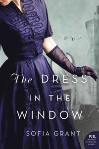 bokomslag The Dress in the Window