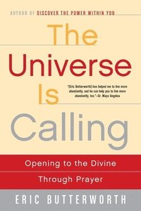 bokomslag Universe is Calling